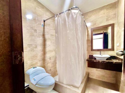 阿塔卡梅斯HOTEL MAESJHU的浴室配有卫生间、淋浴和盥洗盆。