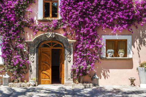 索伦托卡波圣福尔图纳塔农家乐的粉红色的建筑,上面有紫色的花