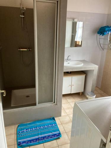 普卢贡旺Maison de campagne de plein pied.的带淋浴和盥洗盆的浴室