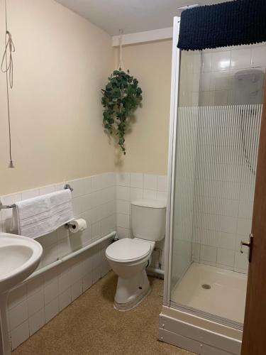 HenwickThe Swan Inn的浴室配有卫生间、盥洗盆和淋浴。