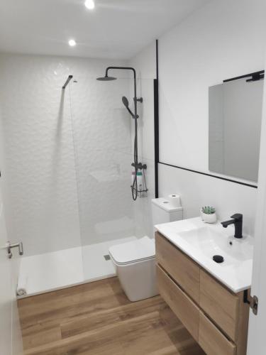 卢戈Apartamentos CANDEA的带淋浴、卫生间和盥洗盆的浴室