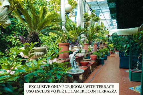 那不勒斯美狄亚住宿加早餐旅馆的一座温室,里面布满了植物和雕像