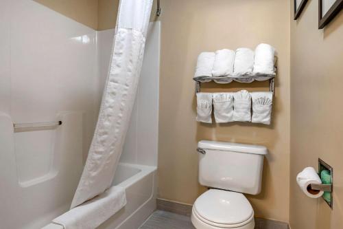 罗密欧维尔Comfort Inn Romeoville - Bolingbrook的一间带卫生间、淋浴和毛巾的浴室