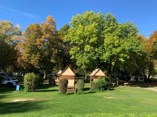 雷根斯堡雷根斯堡AZUR露营度假村的草丛中的树木和房屋公园