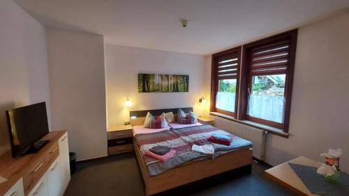 施蒂策尔巴赫Pension & Gasthof "Am Park" UG的一间卧室配有一张床和一台电视