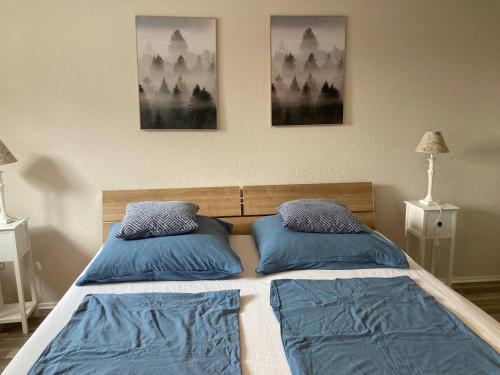 阿尔特纳SauerlandBlick的卧室内的两张床和蓝色枕头