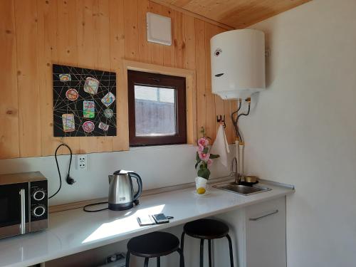 卡兹贝吉Tiny House Kazbegi的厨房配有带凳子的柜台和微波炉