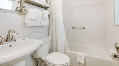 圣徒皮特海滩Palm Crest Resort Motel的白色的浴室设有卫生间和水槽。