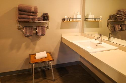 雷丁Americana Modern Hotel的一间带水槽和镜子的浴室