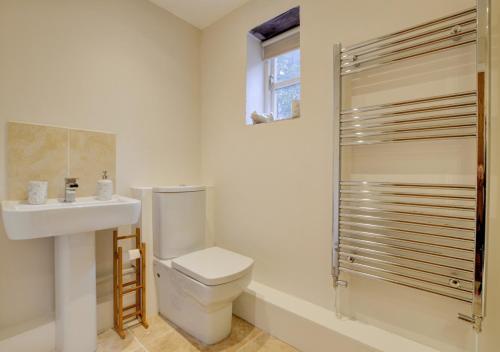 TrefriwTy Rowan的浴室配有卫生间、盥洗盆和淋浴。