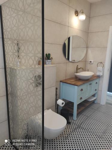 基布兹恩戈蒂Bar suite的一间带卫生间、水槽和镜子的浴室