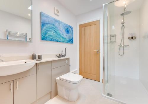 拉尼德洛伊斯Nyth Bryn Haul的浴室配有卫生间、盥洗盆和淋浴。