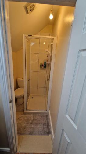 ForkillApple Lodge Apartment的带淋浴和卫生间的浴室