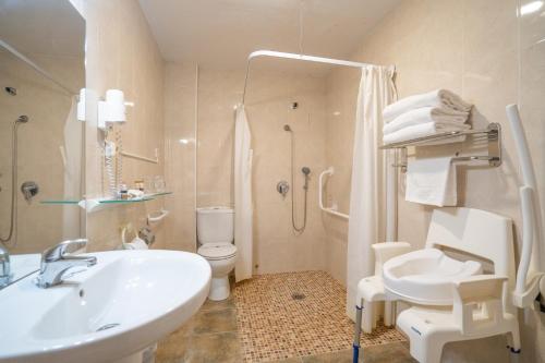 米兰达德埃布罗图丹卡米兰达酒店的一间带水槽、卫生间和淋浴的浴室