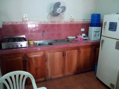 阿约拉港Hostal Miconia的厨房配有水槽和冰箱