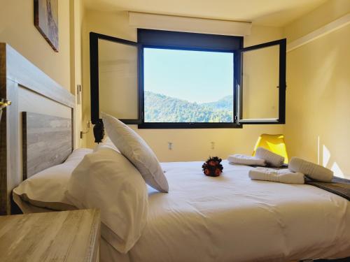 艾因萨AP Guest House Ainsa Pirineos的带大窗户的客房内的两张床