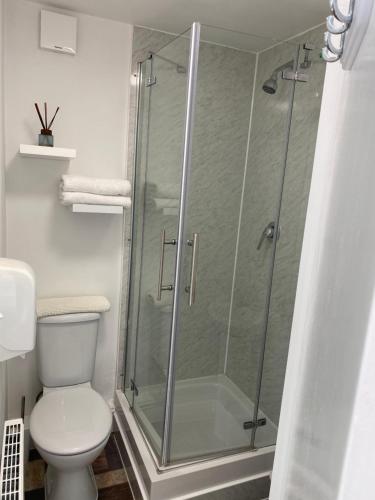 剑桥A & B Guest House Cambridge Ltd的浴室设有玻璃淋浴间和卫生间