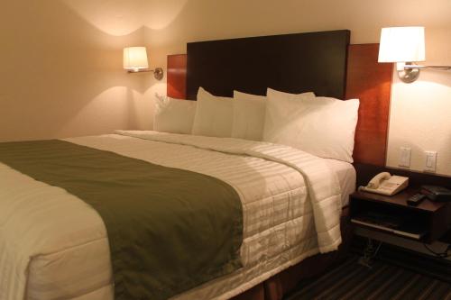 奇瓦瓦格兰德奇瓦瓦酒店的酒店客房设有一张大床和电话