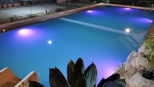 YUMIYAMI FARM AND RESORT的后院的游泳池,有蓝色的灯光,种植了植物