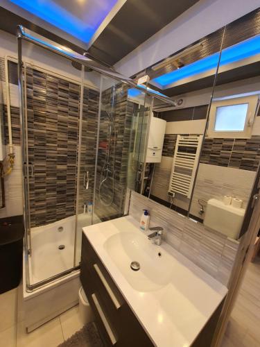 德布勒森Belvárosi Exkluzív Loft的一间带水槽和玻璃淋浴的浴室