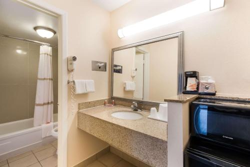 华盛顿北华盛顿伊克诺旅馆的一间带水槽和大镜子的浴室