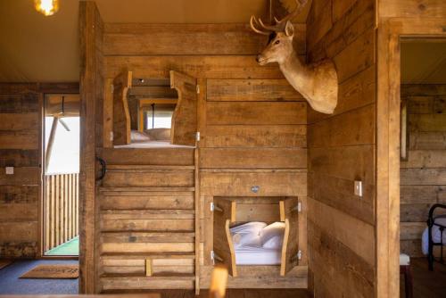 克雷迪顿Luxury Safari Lodge surrounded by deer!! 'Roe'的客房设有两张双层床,墙上挂着鹿头