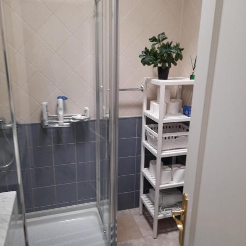 普拉亚布兰卡Villa julima的带淋浴的浴室以及带毛巾的架子。