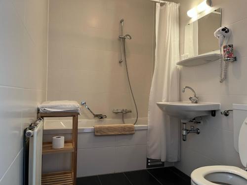 赫鲁斯贝克Hotel De Oude Molen的一间带水槽、淋浴和卫生间的浴室