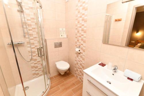 雷莱克斯HOTEL RESTAURANT LE CENTRE的带淋浴、卫生间和盥洗盆的浴室