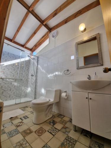 瓦尔迪维亚Hostel Torobayo的一间带卫生间和水槽的浴室