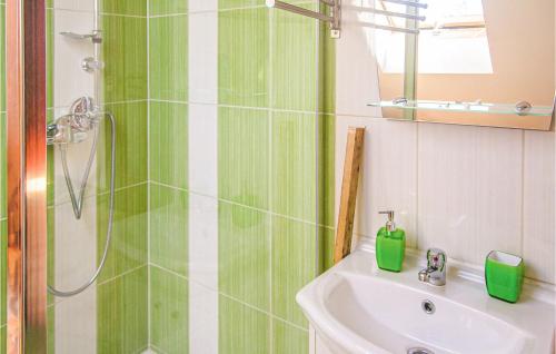 皮什Awesome Home In Pisz With Outdoor Swimming Pool的绿色和白色的浴室设有水槽和淋浴