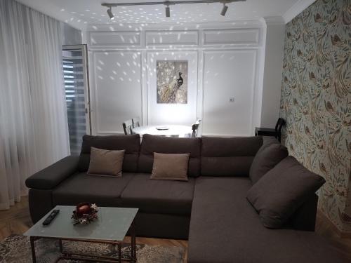 克拉约瓦Decebal Premium Confort的客厅配有棕色沙发和桌子