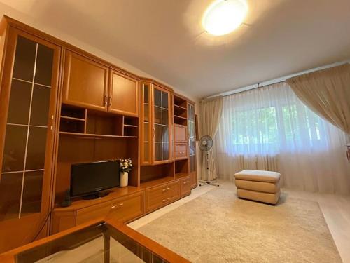 布加勒斯特Lovely & quiet 1-bedroom condo with free parking的客厅配有木制橱柜和电视。