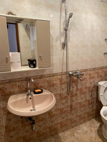 代温Апартамент за гости的一间带水槽、淋浴和卫生间的浴室
