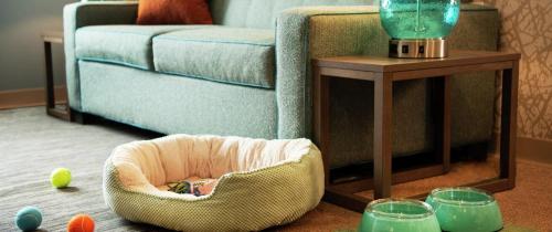 卡温顿Home2 Suites By Hilton Covington的带沙发和狗床的客厅
