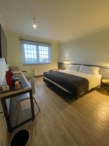 蓬塔阿雷纳斯Almasur Punta Arenas的一间卧室配有一张床、一张书桌和一台电视