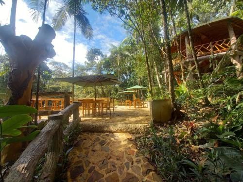 圣拉菲尔ECO HOTEL RIO DE ORO的森林中带桌子和遮阳伞的庭院