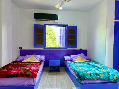 阿斯旺Ghalia Guest House的蓝色和紫色客房的两张床