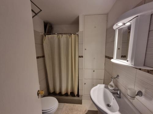 埃斯特角城SANTOS DUMONT的带淋浴、卫生间和盥洗盆的浴室