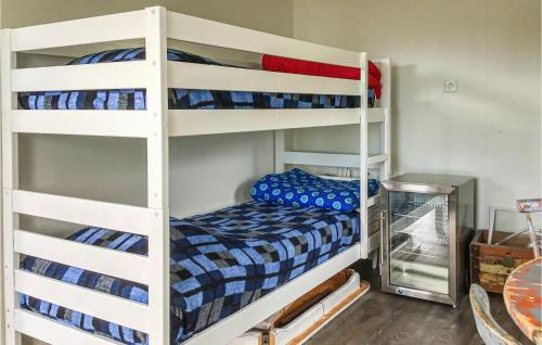 胡迪克斯瓦尔Gorgeous Home In Hudiksvall With Wifi的双层床间 - 带两张双层床