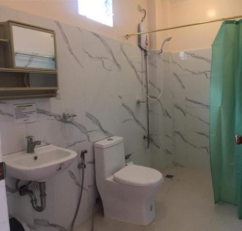 锡基霍尔Elnora Delmar Travellers Inn的一间带卫生间和水槽的浴室