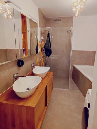 纽伦堡VogelsNest的一间带两个盥洗盆和淋浴的浴室