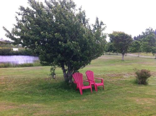 Pubnico雅阁海滩住宿加早餐旅馆的两把红色椅子坐在田野的树旁