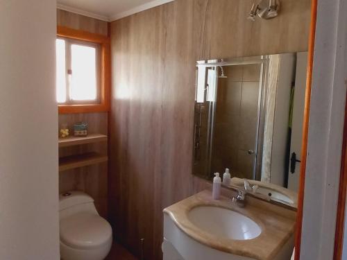 蓬塔阿雷纳斯Acogedora casa en Punta Arenas的一间带水槽、卫生间和镜子的浴室