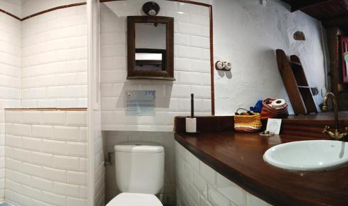 米耶雷斯La Castañar - La Vallicuerra Casas Rurales的一间带卫生间、水槽和镜子的浴室
