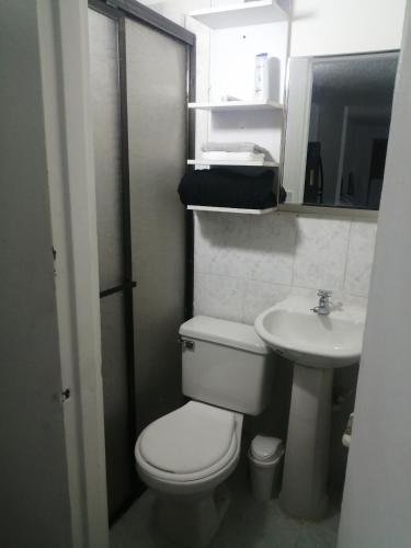麦德林San Diego aparta estudios的一间带卫生间和水槽的小浴室