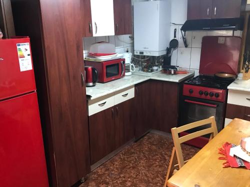 BezdeadCabana Trei Brazi Dambovita的厨房配有红色微波炉和红色冰箱
