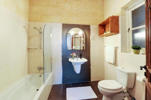 纳杜尔Narcisa Holiday Home的一间带水槽、卫生间和淋浴的浴室