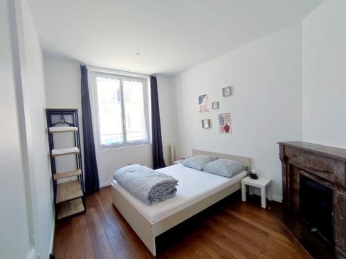 蒙塔日Appartement hyper centre de Montargis的一间带一张床和壁炉的小卧室