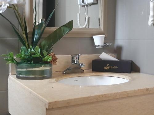 布兰太尔赛伦迪布套房和会议中心酒店的浴室水槽上装有盆栽植物